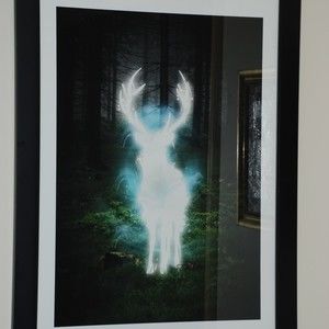 Meet your Posher, Alison